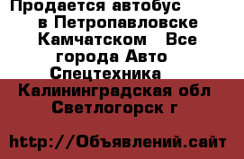 Продается автобус Daewoo в Петропавловске-Камчатском - Все города Авто » Спецтехника   . Калининградская обл.,Светлогорск г.